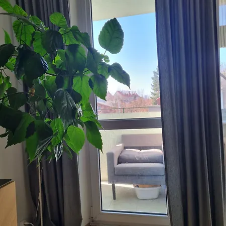 Mieszkanie Nad Morzem, 300m Od Plazy! 그단스크