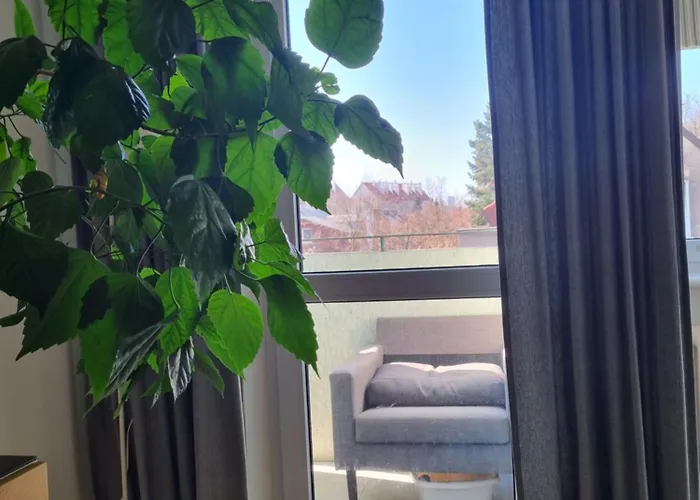 Mieszkanie Nad Morzem, 300m Od Plazy! Gdańsk